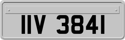 IIV3841