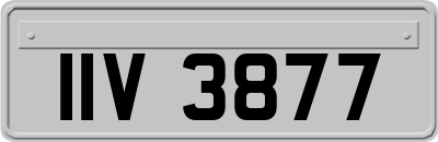 IIV3877