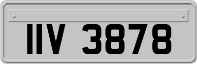 IIV3878