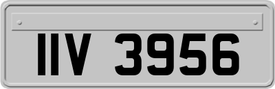 IIV3956