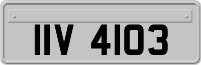 IIV4103