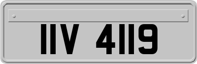 IIV4119