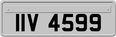 IIV4599