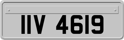 IIV4619