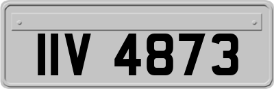 IIV4873