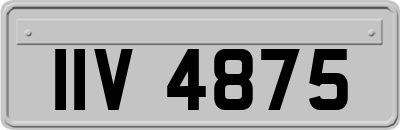 IIV4875