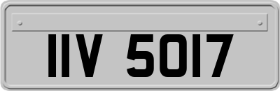 IIV5017