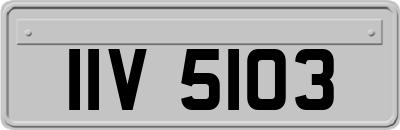 IIV5103