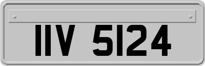 IIV5124