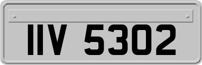 IIV5302