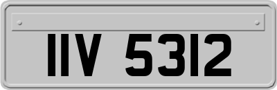 IIV5312