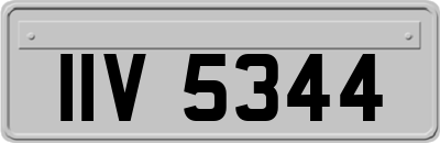 IIV5344