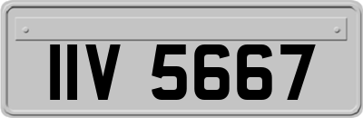 IIV5667