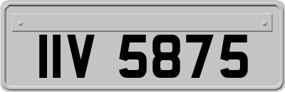 IIV5875