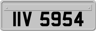 IIV5954