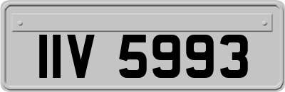 IIV5993