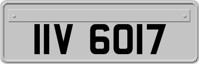 IIV6017