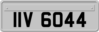 IIV6044