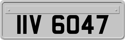 IIV6047