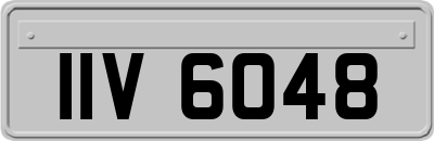 IIV6048
