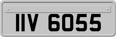 IIV6055