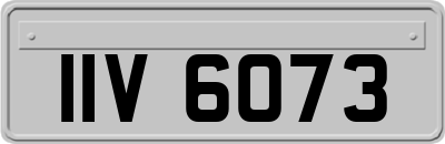 IIV6073