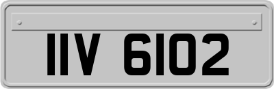 IIV6102