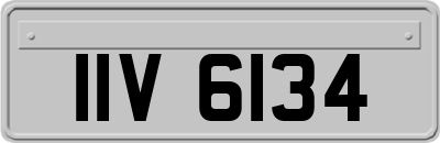 IIV6134