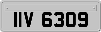 IIV6309