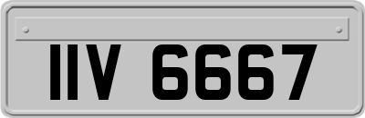IIV6667