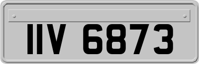 IIV6873