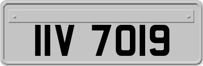 IIV7019