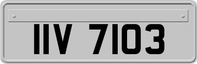IIV7103