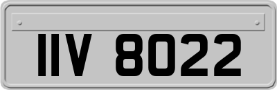 IIV8022