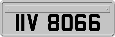 IIV8066
