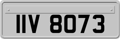 IIV8073