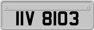 IIV8103