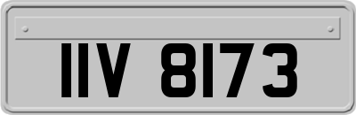 IIV8173