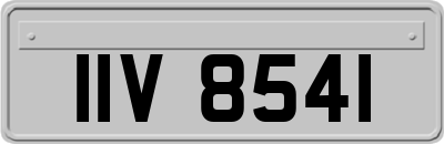 IIV8541