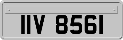 IIV8561
