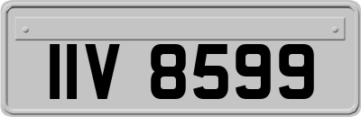 IIV8599