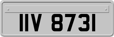 IIV8731