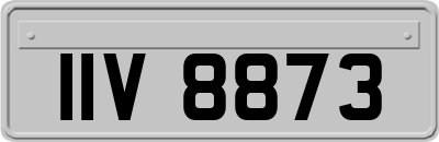 IIV8873