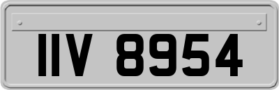 IIV8954
