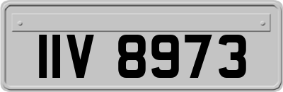 IIV8973