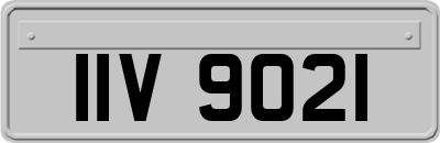 IIV9021
