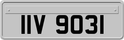 IIV9031