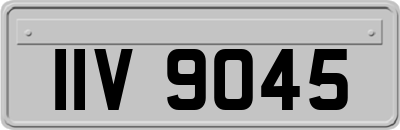 IIV9045