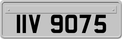 IIV9075