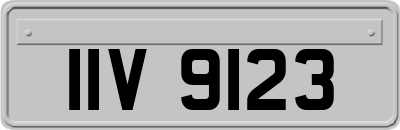 IIV9123
